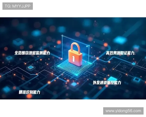 专访李芳：深入探讨CSGO成功背后的秘密与发展历程