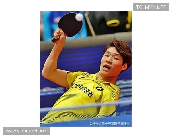 乒乓球之光：深入西安乒乓球队背后的训练与精神探索