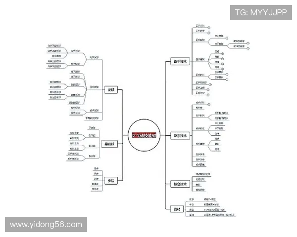 乒乓球技艺探秘：杭州乒乓球队边路渗透战术解析与应用