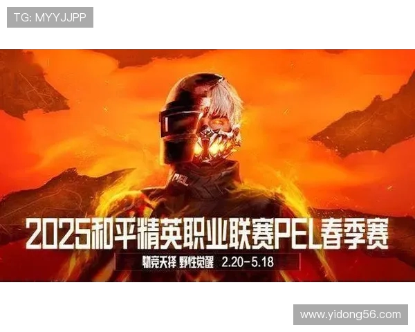 和平精英团队协作赛中BLG表现出色成功创新高引发热议