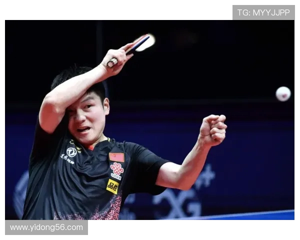 武汉羽毛球队反击战术解析与实战应用全方位解读