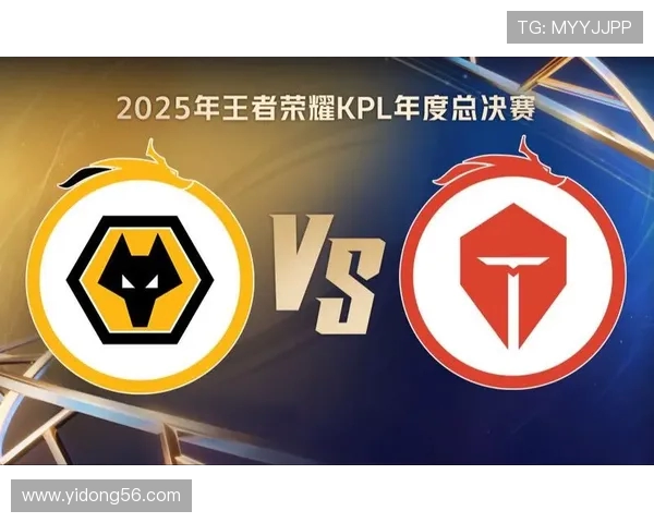 王者荣耀赛事分析：TES战队荣登第六名经验排行榜的背后故事