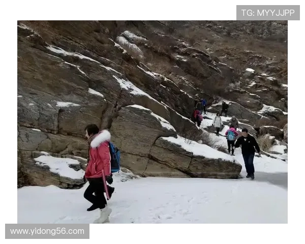 飞盘追梦：赵芳的运动人生与心灵对话探索