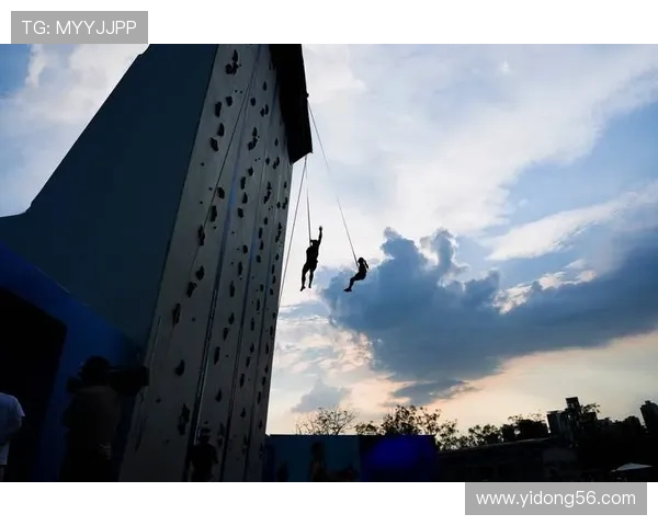 攀岩界权威发布个人能力实力榜单揭示顶尖选手风采与实力对比