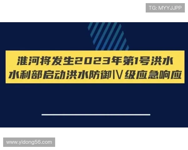 权威发布：2023年英雄联盟节奏实力榜单全解析与选手表现评估