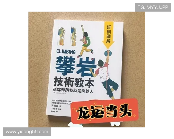 武汉攀岩队个人能力提升之路探索与实践分享
