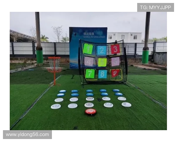 武汉飞盘队防守策略解析：如何在比赛中提升防守效率与团队协作