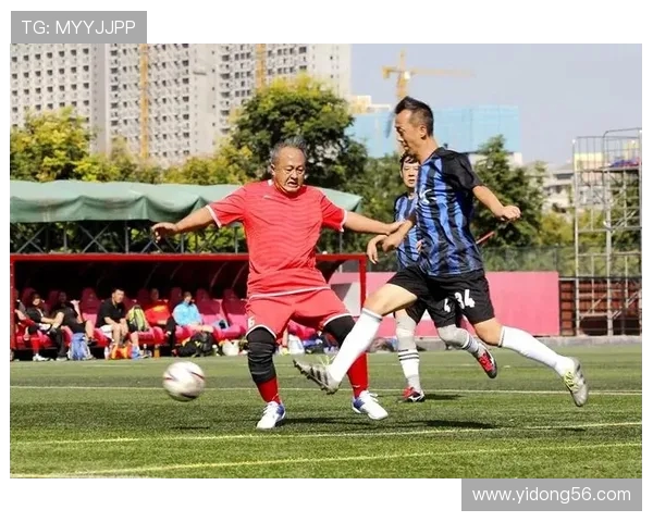 深度对话杨丽揭秘她的足球人生与梦想追逐之路 深度对话杨丽揭秘她的足球人生与梦想追逐之路