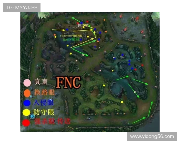 EDG在精英赛中的强势表现与战术分析全面解读