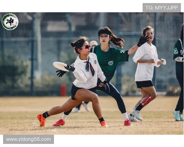 上海飞盘队引领潮流最新飞盘战术十强解析与展望