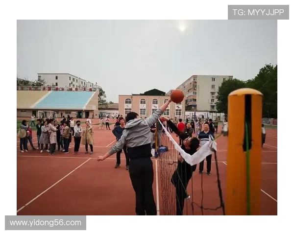 广州排球队奋斗历程的真实记录与精神传承