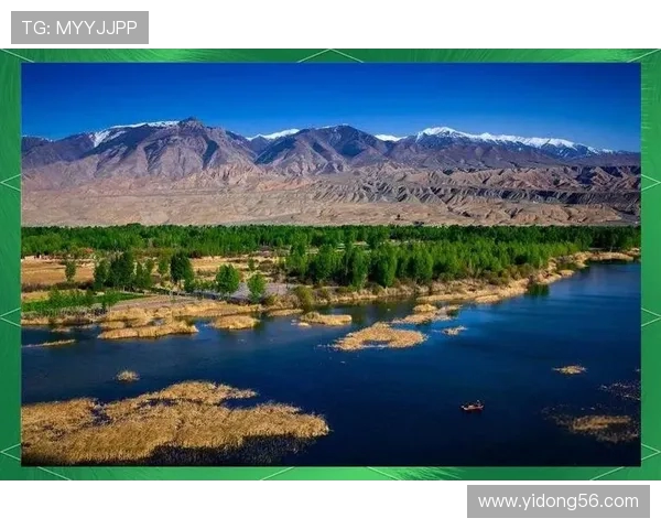 广州攀岩队整体压制革新之路探索与发展全景解析