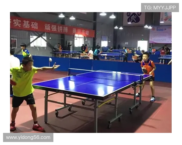 杭州乒乓球队战术创新引领潮流助力乒乓球竞技水平再攀高峰